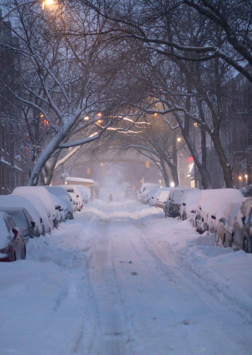 Snow covered cars and street